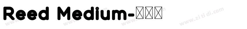 Reed Medium字体转换